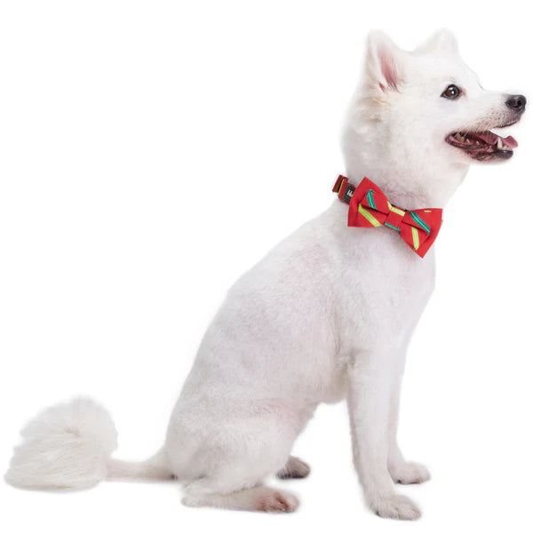 Blueberry Pet - Stripes | Luxurious Christmas Festival Dog Collar