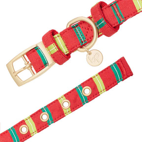 Blueberry Pet - Stripes | Luxurious Christmas Festival Dog Collar