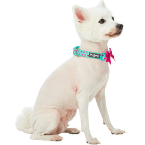 Blueberry Pet - Minty Green | Dotted Velvet Heart Dog Collar