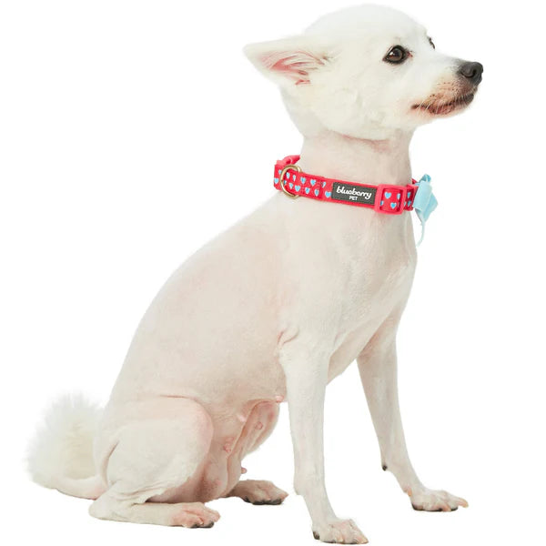 Blueberry Pet - Lust Red | Dotted Velvet Heart Dog Collar