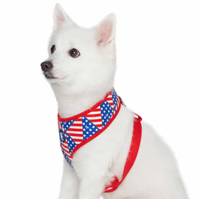 Blueberry Pet - American Flag Dog Harness Vest