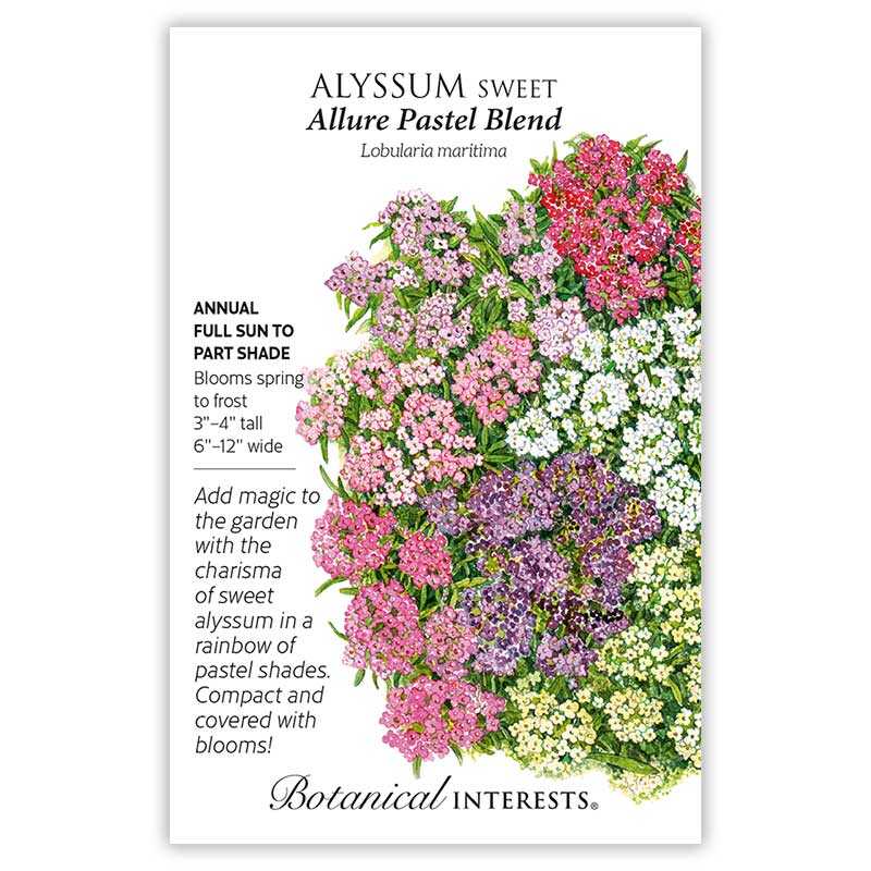 Botanical Interests, Inc. - Allure Pastel Blend Sweet Alyssum Seeds