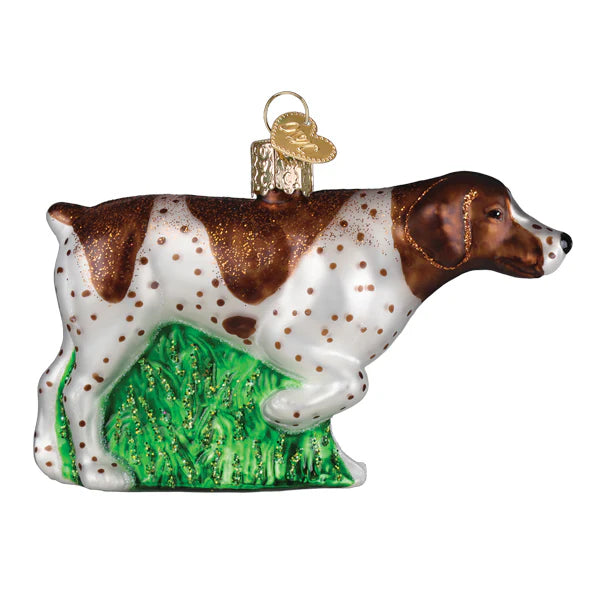 Old World Christmas - German Shorthaired Pointer Ornament