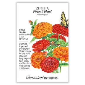 Zinnia Fireball Blend Seeds - Southern Agriculture 