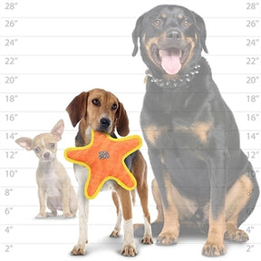 Tuffy Dog Toys - DuraForce Star Durable Squeak Toy