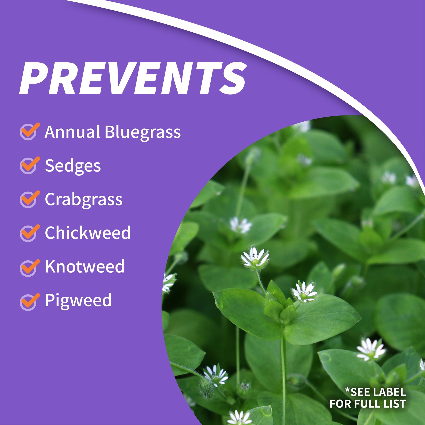 Bonide - DuraTurf Total Weed Control Concentrate - Southern Agriculture 