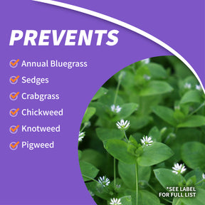 Bonide - DuraTurf Total Weed Control Concentrate - Southern Agriculture 