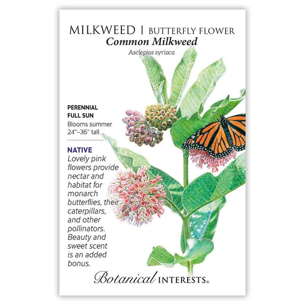 Botanical Interests, Inc. - Milkweed Common Seeds - Southern Agriculture 
