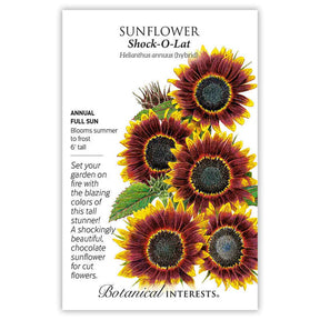 Botanical Interests, Inc. - Sunflower Shock O Lat Seeds