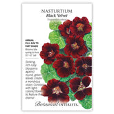 Botanical Interests, Inc. - Nasturtium Black Velvet Seeds - Southern Agriculture 