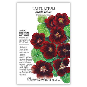Botanical Interests, Inc. - Nasturtium Black Velvet Seeds - Southern Agriculture 