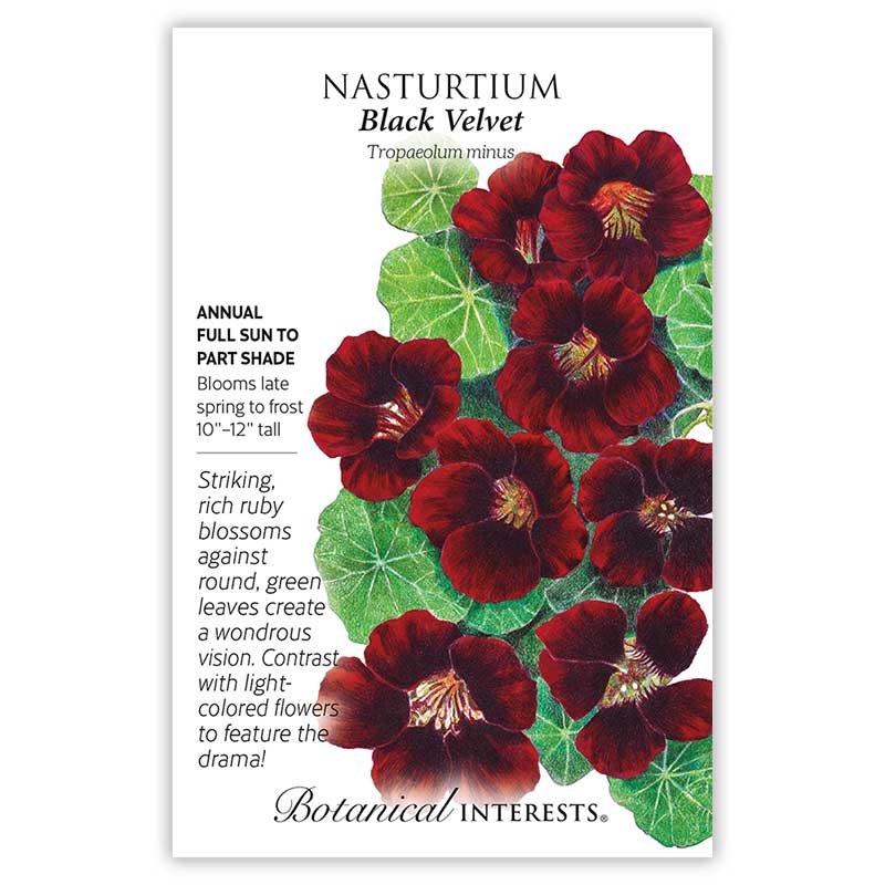 Botanical Interests, Inc. - Nasturtium Black Velvet Seeds - Southern Agriculture 