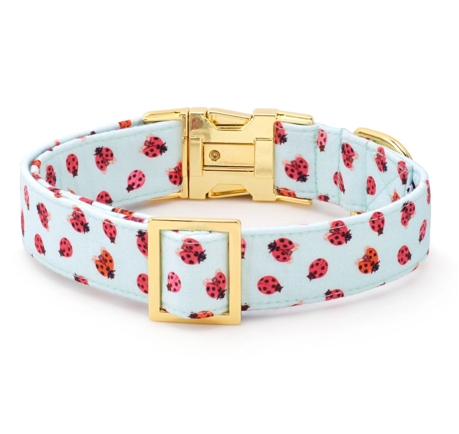 The Foggy Dog - Dog Collar Love Bug