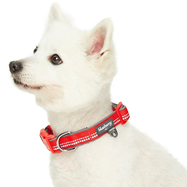 Blueberry Pet - Red | 3M Padded Adjustable Reflective Dog Collar