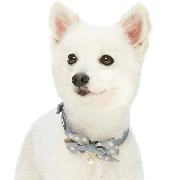 Blueberry Pet - Gray | The Most Coveted Dog Collar with Bowtie & Pearl