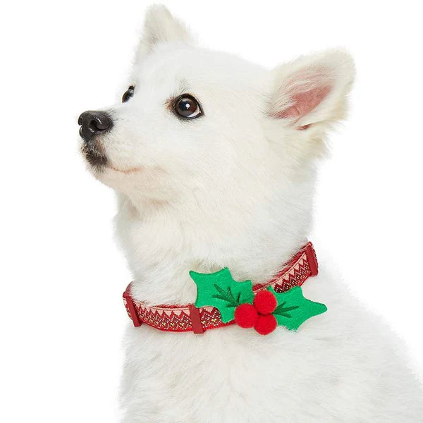 Blueberry Pet - Holly | Christmas Dog Collar