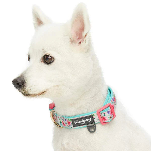 Blueberry Pet - Green | Floral Prints Neoprene Padded Dog Collar