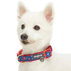 Blueberry Pet - Navy | Floral Prints Neoprene Padded Dog Collar