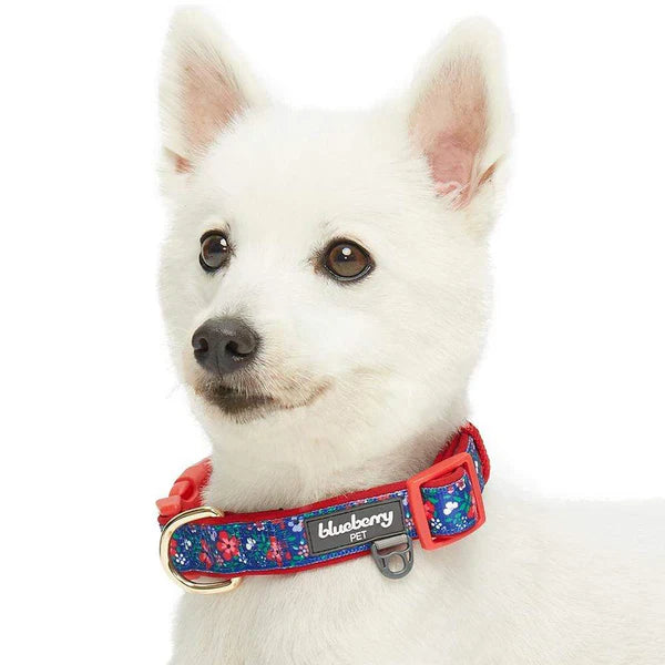 Blueberry Pet - Navy | Floral Prints Neoprene Padded Dog Collar