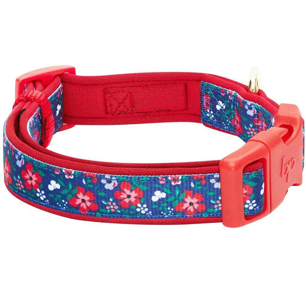 Blueberry Pet - Navy | Floral Prints Neoprene Padded Dog Collar