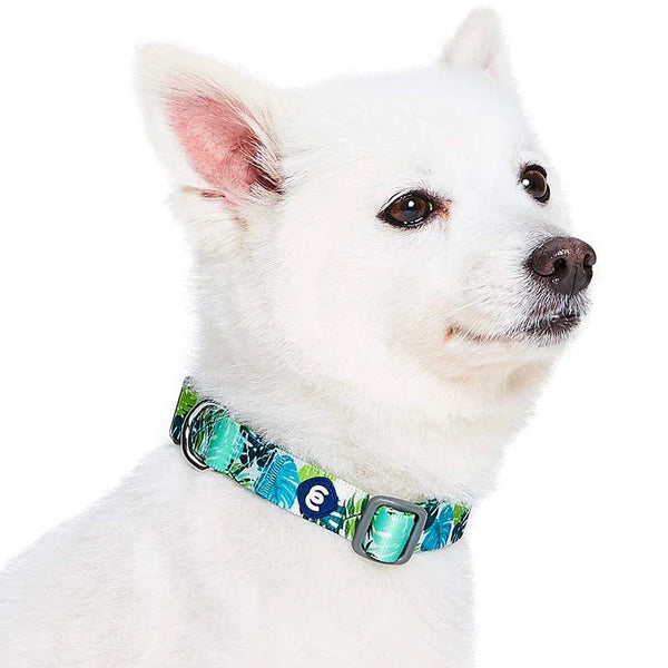 Blueberry Pet - Bahamas Vacation Palm Leaves Dog Collar