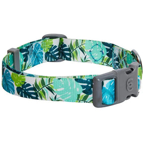 Blueberry Pet - Bahamas Vacation Palm Leaves Dog Collar