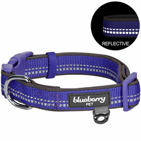 Blueberry Pet - Violet | 3M Reflective Padded Dog Collar