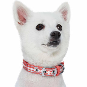 Blueberry Pet - Blueberry Pet - Dog Collar Soft 3M Reflective