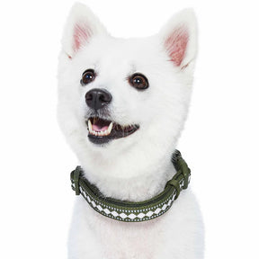 Blueberry Pet - Olive Jacquard Pattern | 3M Reflective Neoprene Quick-Release Dog Collar