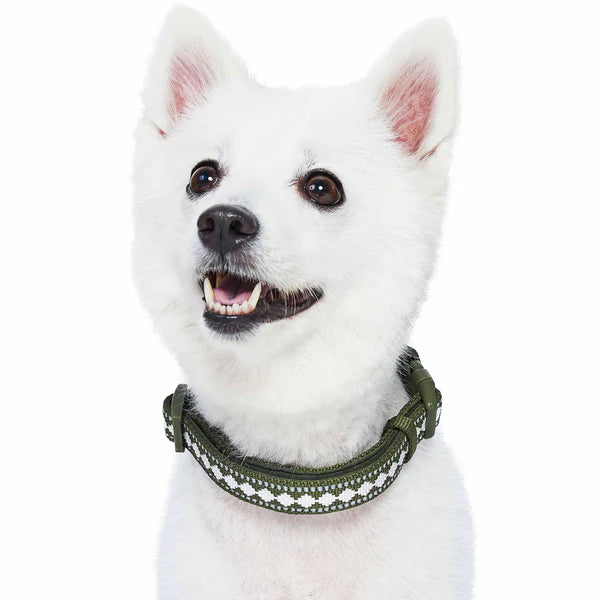 Blueberry Pet - Olive Jacquard Pattern | 3M Reflective Neoprene Quick-Release Dog Collar