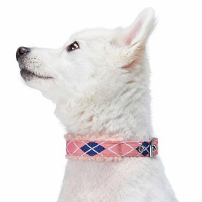 Blueberry Pet - Pink Scottish Argyle | Sherpa Fleece Padded Dog Collar