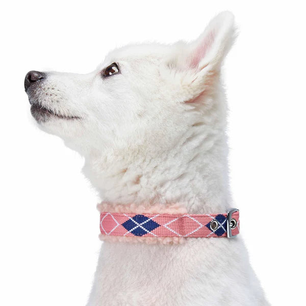 Blueberry Pet - Pink Scottish Argyle | Sherpa Fleece Padded Dog Collar