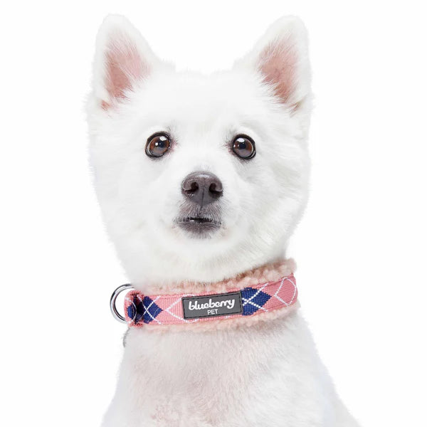 Blueberry Pet - Pink Scottish Argyle | Sherpa Fleece Padded Dog Collar