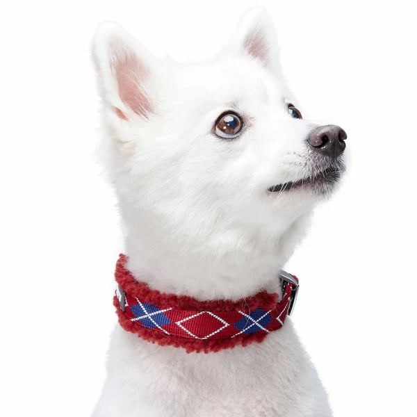 Blueberry Pet - Merlot Red Scottish Argyle | Sherpa Fleece Padded Dog Collar
