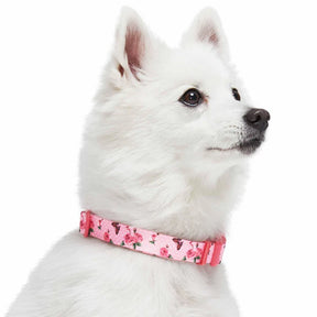 Blueberry Pet - Butterfly and Rose Petal | Paws Floral Dog Collar