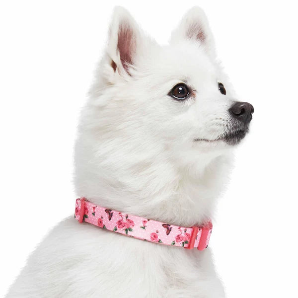 Blueberry Pet - Butterfly and Rose Petal | Paws Floral Dog Collar