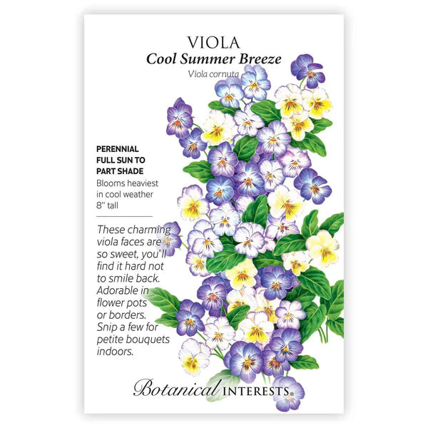 Viola Cool Summer Breeze Seeds - Southern Agriculture 