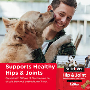Nutri-Vet - Hip & Joint Extra Strength Peanut Butter Biscuits