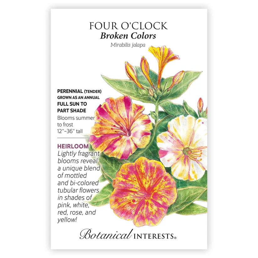 Botanical Interests, Inc. - Broken Colors Four o'Clock Seeds