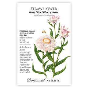 Botanical Interests, Inc. - King Size Silvery Rose Strawflower Seeds
