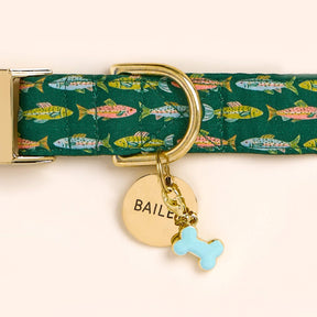 The Foggy Dog - Dog Collar Gone Fishing