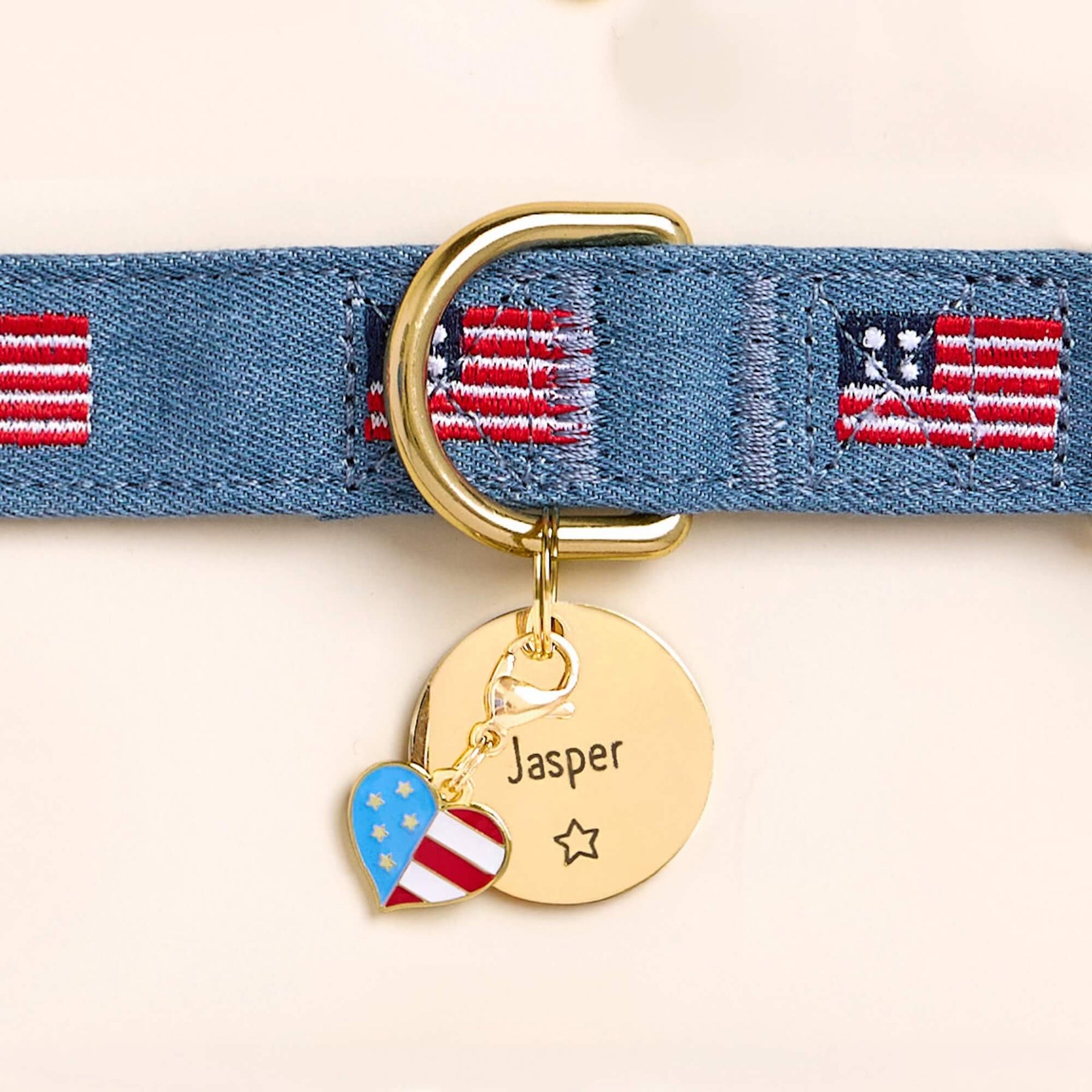 The Foggy Dog - Dog Collar American Flag Embroidered