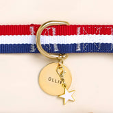 The Foggy Dog - Collar Charm White Star