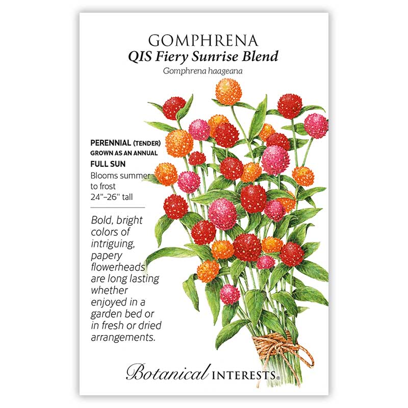 Botanical Interests, Inc. - Gomphrena QIS Fiery Sunrise Blend T 2