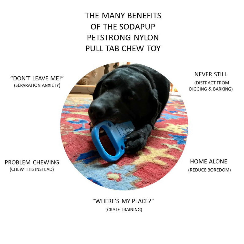 Soda Can Pull Tab Power Chewer Dog Toy - Southern Agriculture 