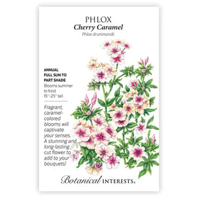 Botanical Interests, Inc. - Phlox Cherry Caramel Seeds