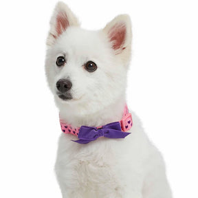 Blueberry Pet - Pink Carnation | Dotted Velvet Heart Dog Collar