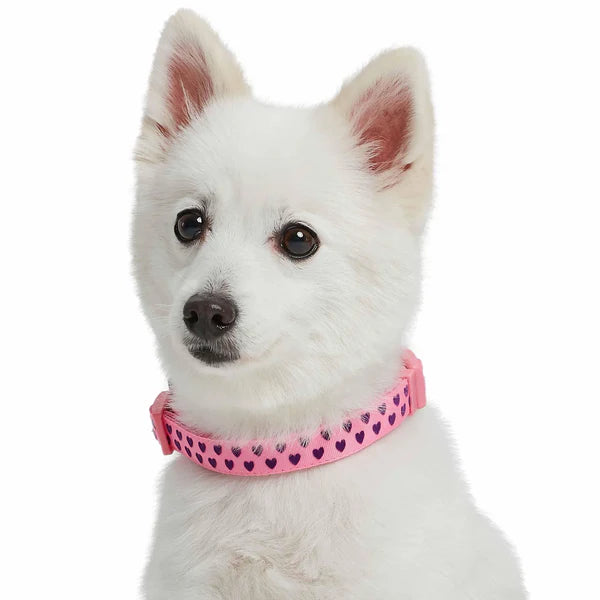 Blueberry Pet - Pink Carnation | Dotted Velvet Heart Dog Collar