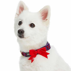 Blueberry Pet - Purple | Dotted Velvet Heart Dog Collar