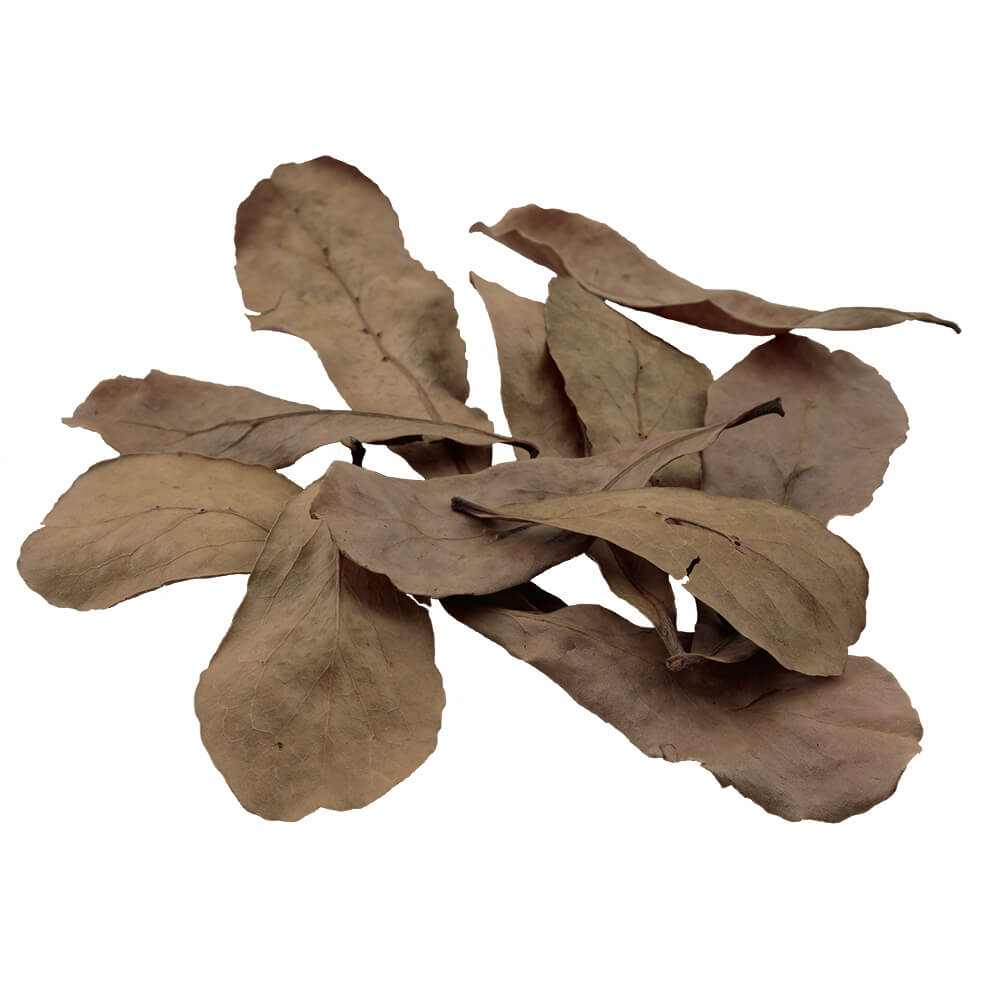 Hagen Pet Products - Betta Tropical Almond Leaf